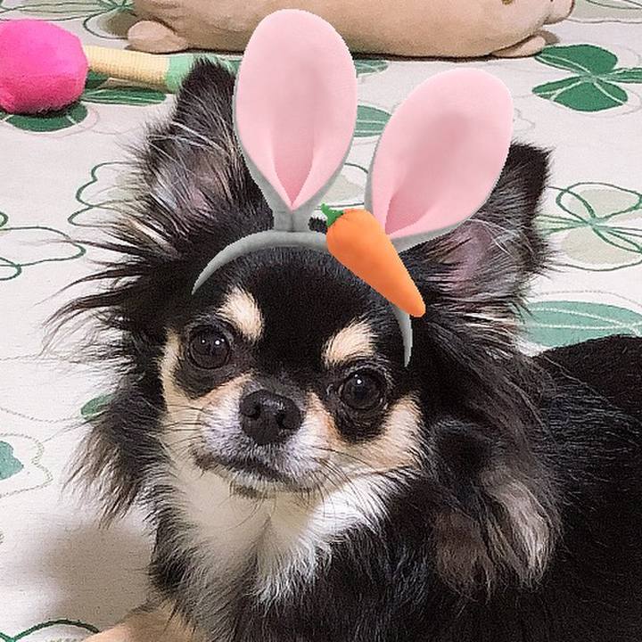 Abc238ac faa0 4e6a ba7f 33b10e7af359 1568371120950