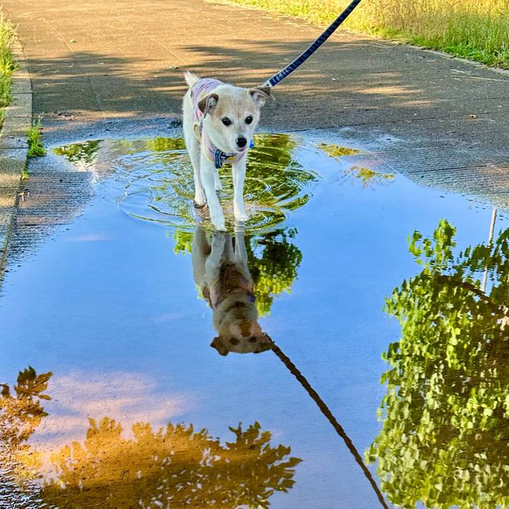 Abc28665 9af3 4fb4 b854 aac2f6047ba3 1718754602931