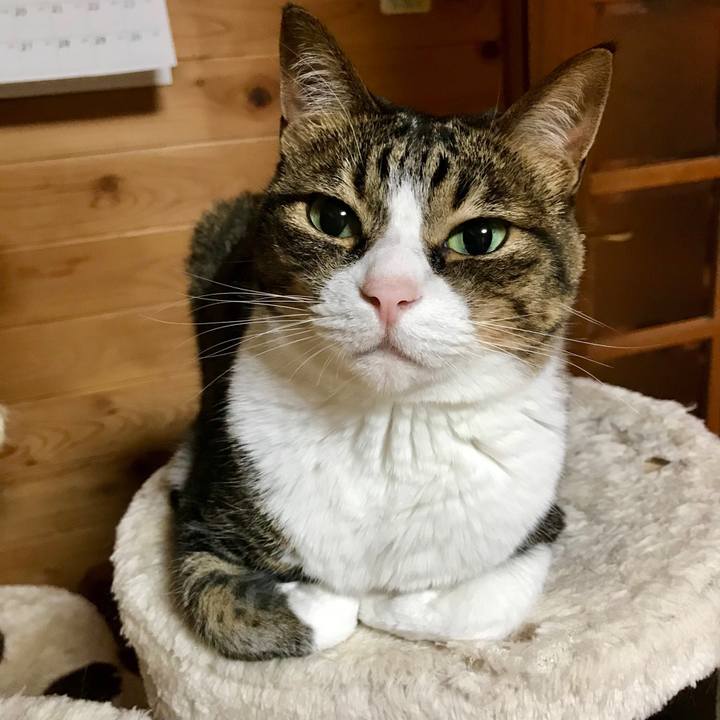 Abc29073 e90b 4c42 a5f4 5af0914fad2a 1528209590639