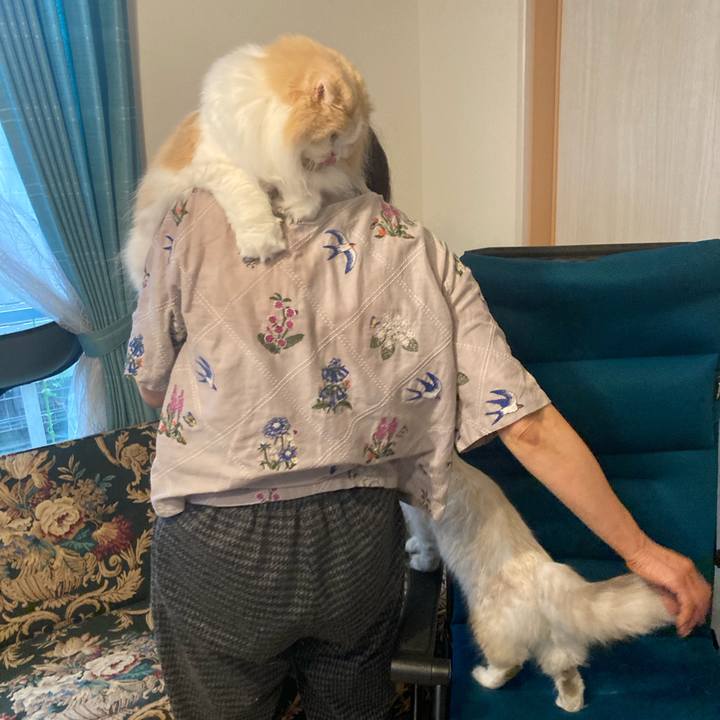 Abc2a572 1783 4105 adde d8432fc1ed84 1679821509917