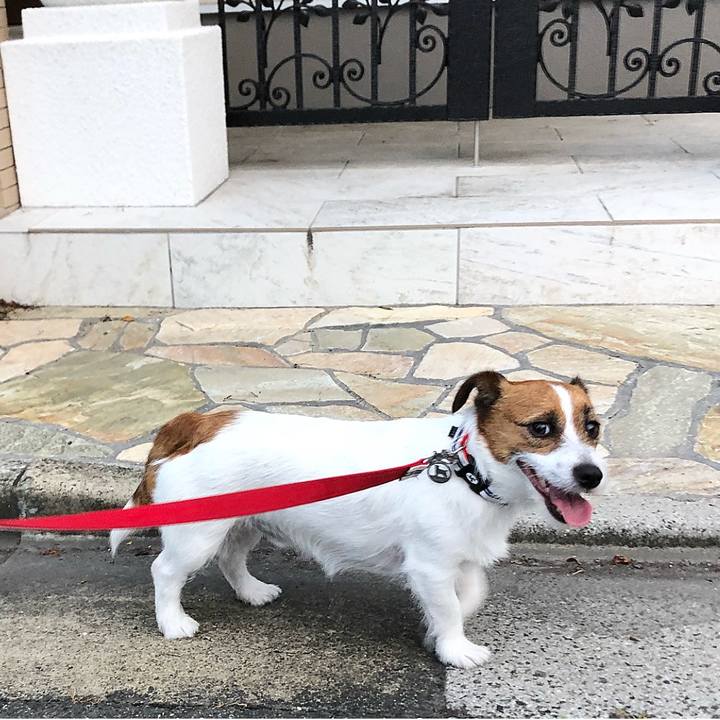 Abc2a86b 60fd 4100 9d87 d911a60ab8bb 1530968676702