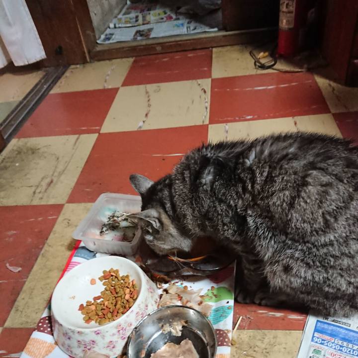 Abc2c50f 5770 48d9 a6b4 83d545e0fe49 1591215394221