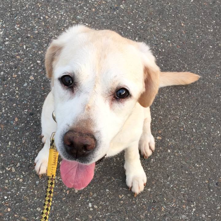 Abc2e919 c53f 4c6d a378 4ec06320eabd 1532691299621