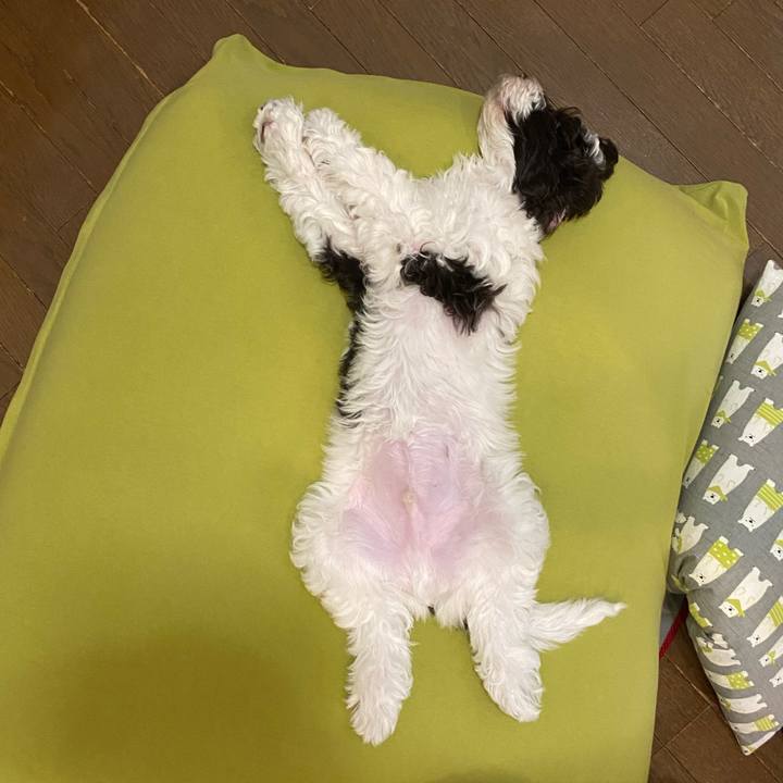 Abc31a3a 3f90 4ed2 a42b 07bb57898026 1608385291632