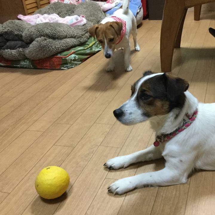 Abc32ac1 51b5 4f5b 87d8 6c79505e2fdb 1522145300544