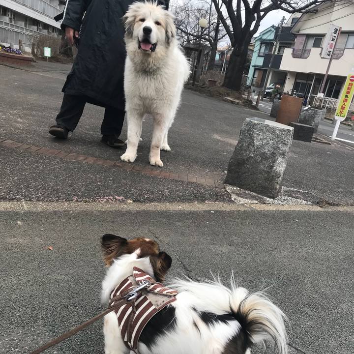 Abc333a8 fd56 4d54 98d8 7e08c4b4575b 1519523437688