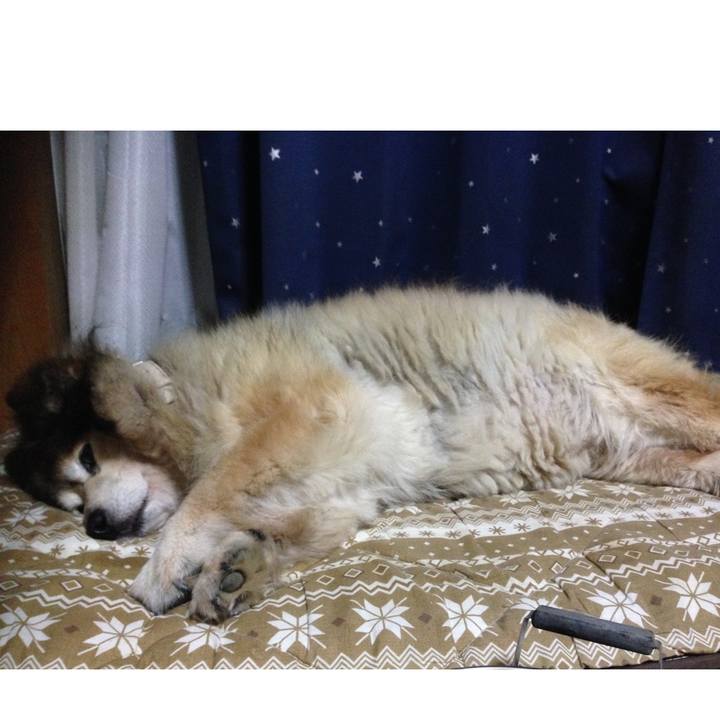 Abc34760 54a9 471d 87b6 a3a8a11c020f 1568002537360