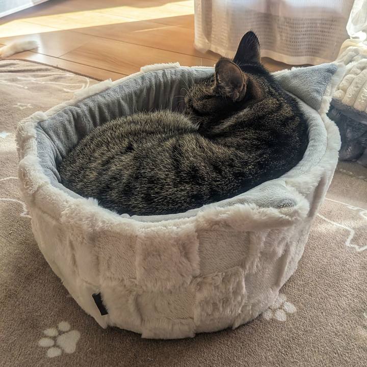 Abc348cc 8052 425d 9c88 f6842e7d4f62 1762316036766