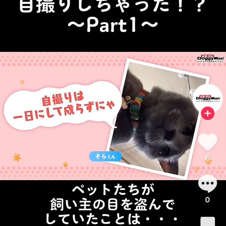 Abc3a486 01b3 414d b134 62dca41e20cf 1669330040857