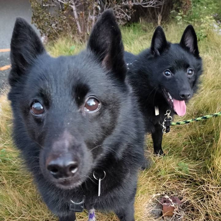 Abc3c8d5 33cc 412c a7b8 548dbc8adea7 1764112952548