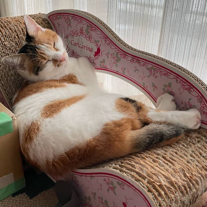 Abc3d45d 0633 44b4 9928 7116eaad7b99 1723626133382