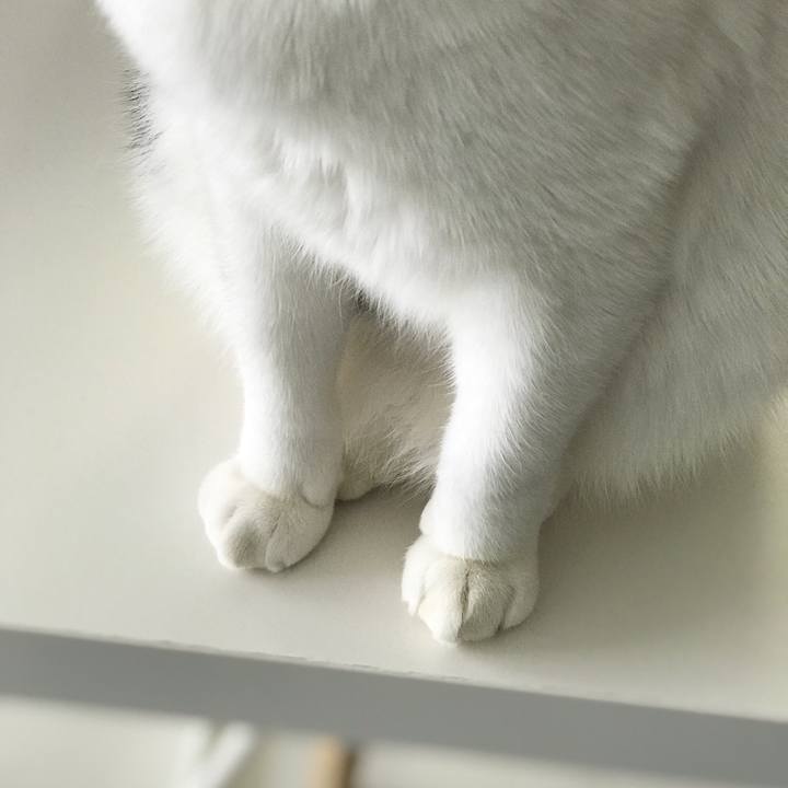 Abc3d9c0 2124 4992 a9c0 7872fb22972d 1511417034110