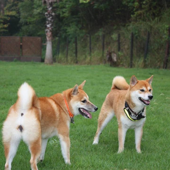 Abc405ef 0cdf 4064 8b3f 985f9a6ae64f 1664408939431