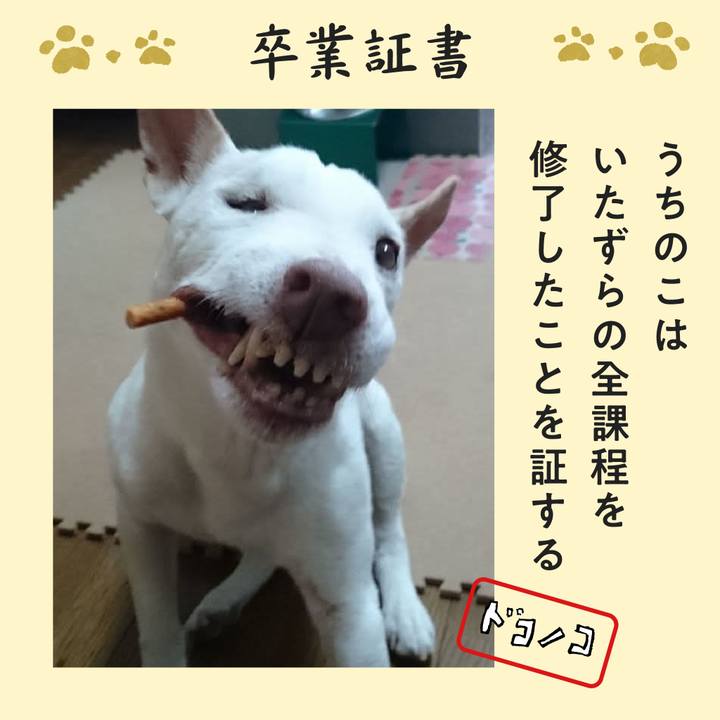 Abc40663 8a07 4d35 98f9 b20c47f5726e 1772408305065