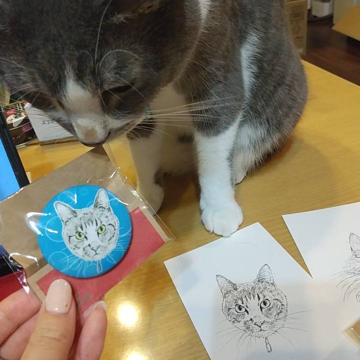 Abc42f1e 6d62 4674 a3ba ded3c4c9e9cc 1634376520738