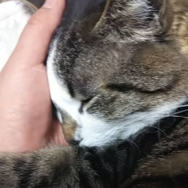 Abc438e0 c341 42a8 b9c5 b43e780d1bcd 1615996527163