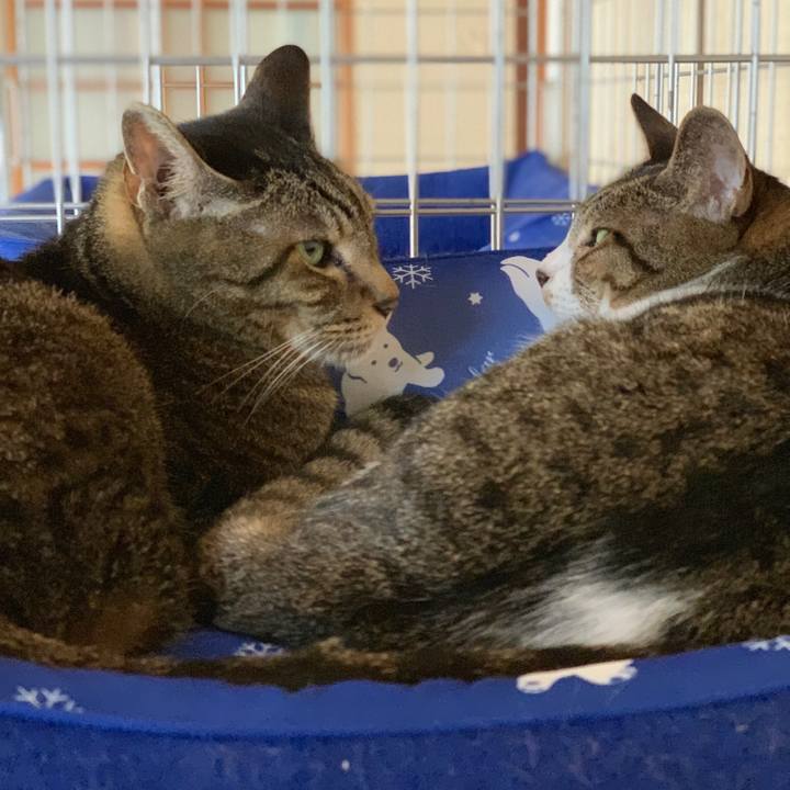 Abc4402e 49e5 41dc b5f9 75e30265fbdd 1565656695682