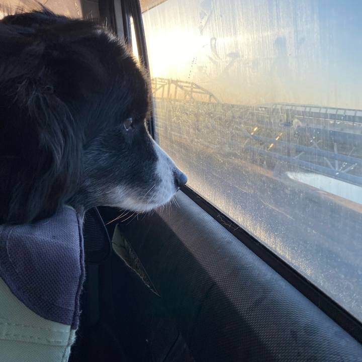 Abc44f32 5b48 4df6 9cac 9dfd85dbf092 1678744900506