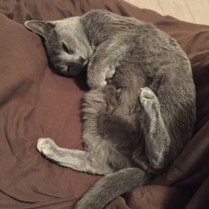 Abc457cd 71ad 4cf8 964d e1d34c825d7a 1550317457565