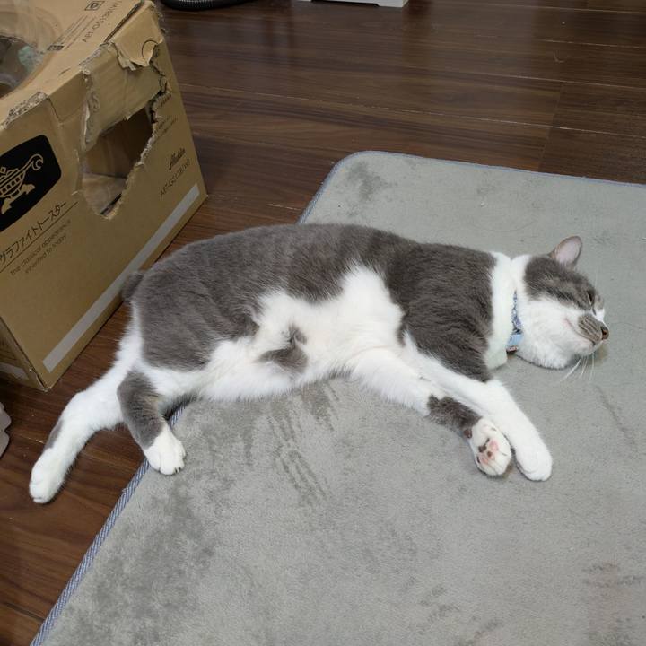 Abc49bbc bd0c 4f05 be50 546f82b7fda8 1746883023486