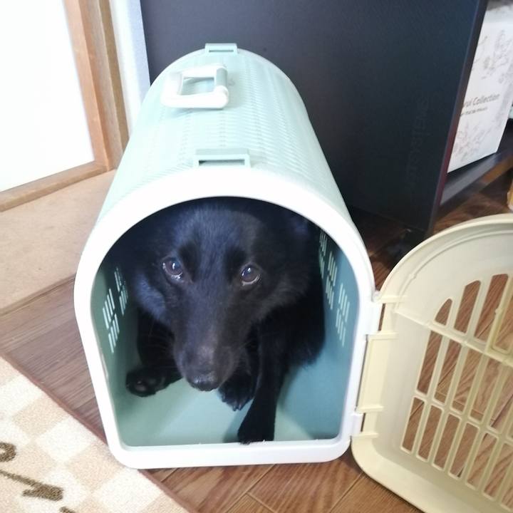 Abc4c659 2c44 45cc ad4e 5ffba06e8155 1660021378227