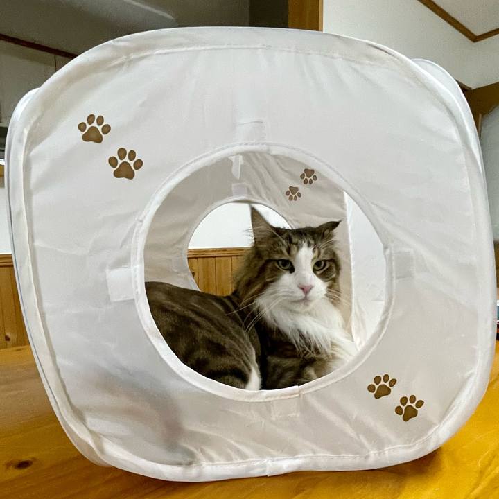 Abc4f2f6 a49b 4cf5 b02d 2e5ba7d50473 1688380371028