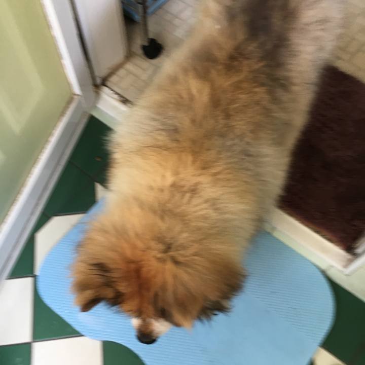 Abc50e31 fbba 4918 938b f9d8d88caceb 1562198008222