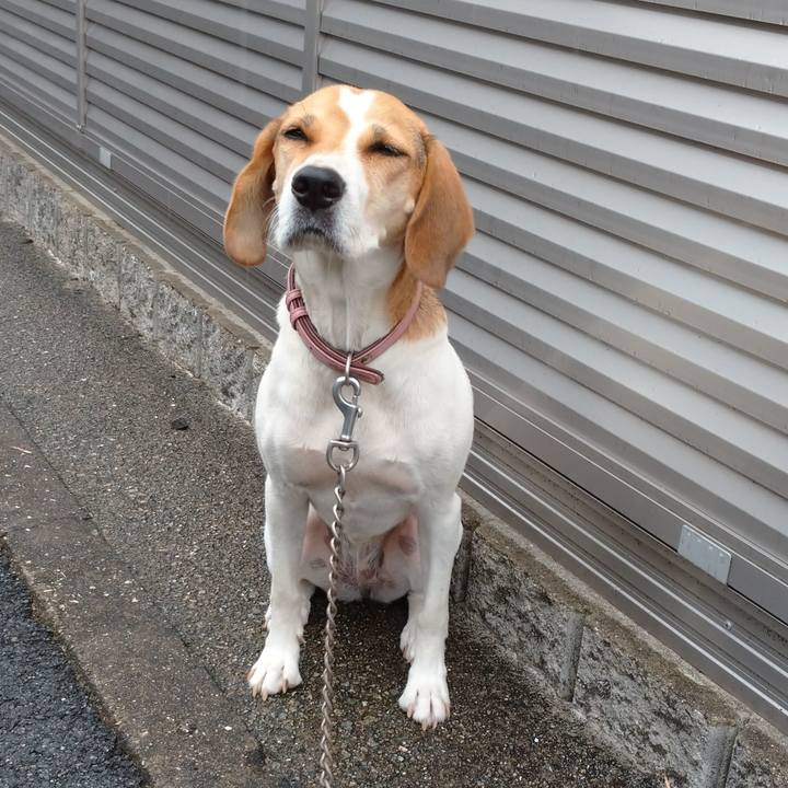 Abc516d9 dd9b 4092 8ab4 ae5450cadd2b 1599624431508