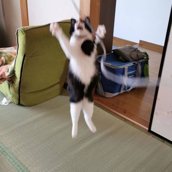 Abc5326e bcf0 4890 8ce7 ac1e5772a5e1 1652673036971