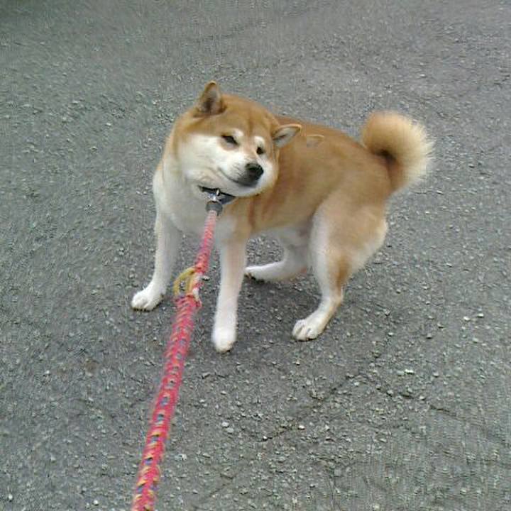 Abc53f4d a72f 48c9 af6e 99fc20f0d230 1569493368814