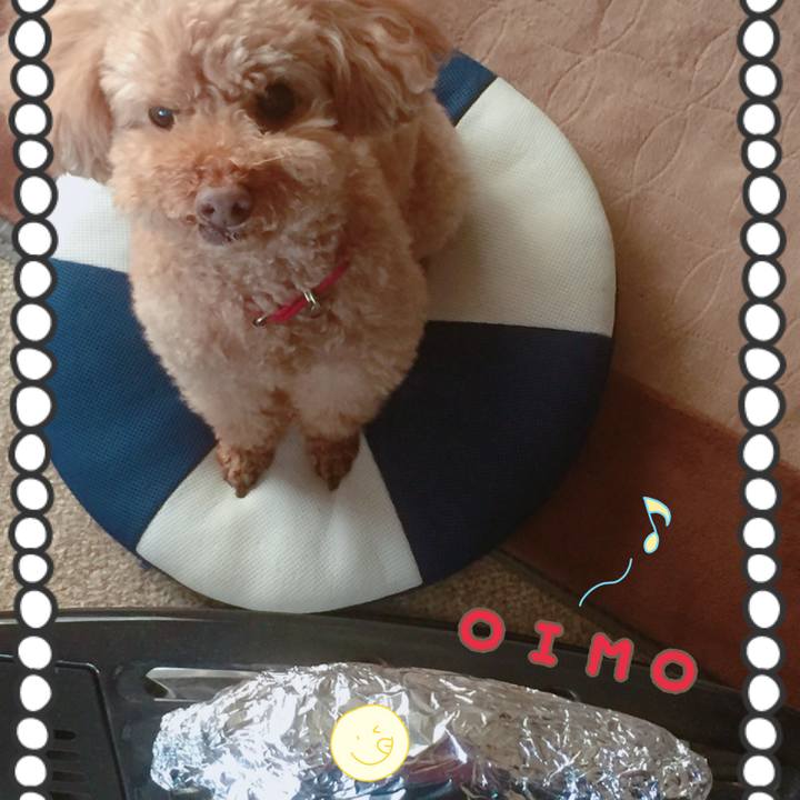 Abc57c85 e2c5 4785 8562 c40804bee3d3 1517036468222