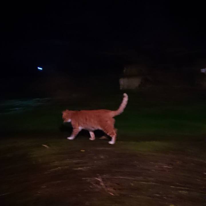 Abc5823a ad15 4920 9af4 0522db427a1e 1605870106739