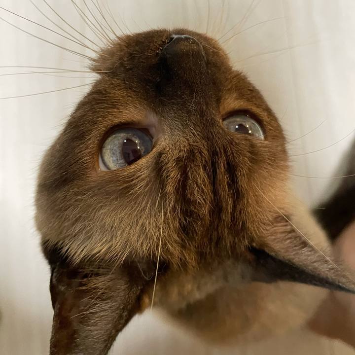 Abc5b702 79e9 411c a568 93e42870fc9a 1755267366724