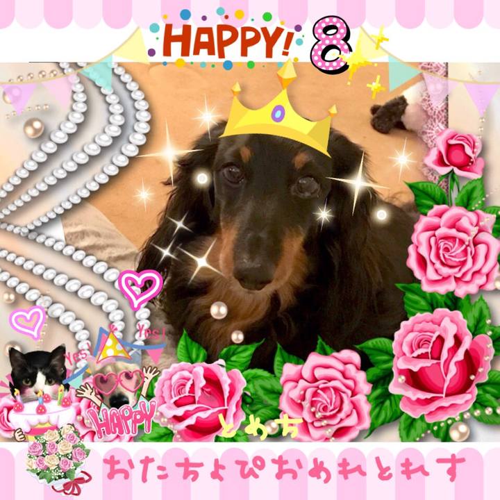 Abc5c453 8123 413f 865a fa617636e0e2 1510306868884