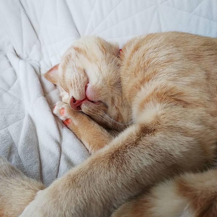 Abc607fc 3221 4296 ba96 fd432a2711c0 1593298042978