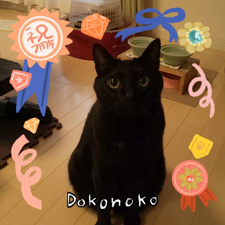 Abc63d36 aa6e 494f 81cf 8149b1be8861 1685957809103