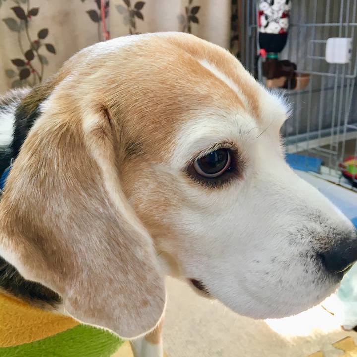 Abc665af fe9e 40e8 a4b4 d5edaae74b12 1552623889516