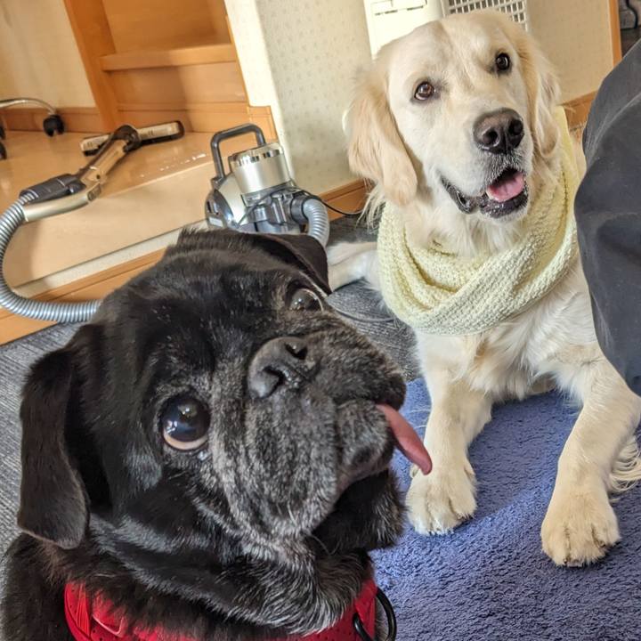 Abc6972d 3bb8 4746 9c1b 429b8490f396 1767004764074