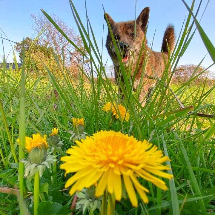 Abc69b1b abaf 40a8 89f7 a36407a47f7d 1587804796103