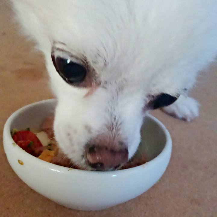 Abc6dc0b 1ff0 49ce 9b43 7e5720e19862 1518389426661