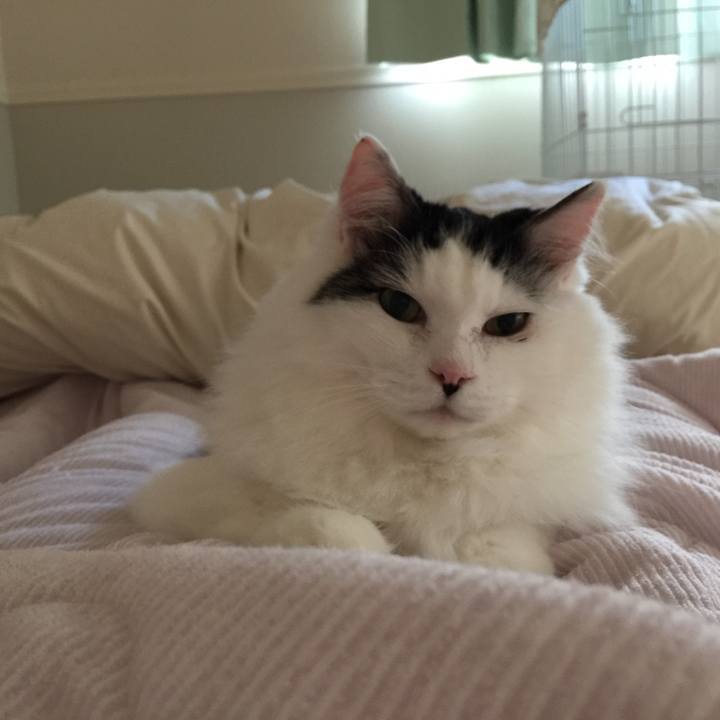 Abc6def4 8e0c 44a6 a254 55cf58f87798 1530336249082