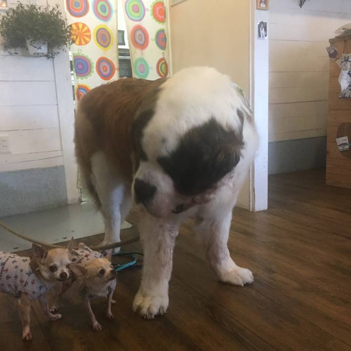 Abc7065d 38b6 4ac1 9dde bcd9d6e94cd0 1531691730112