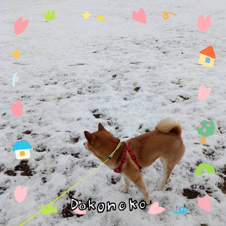 Abc73784 3f07 4548 b54e 754de8693a58 1741129324664