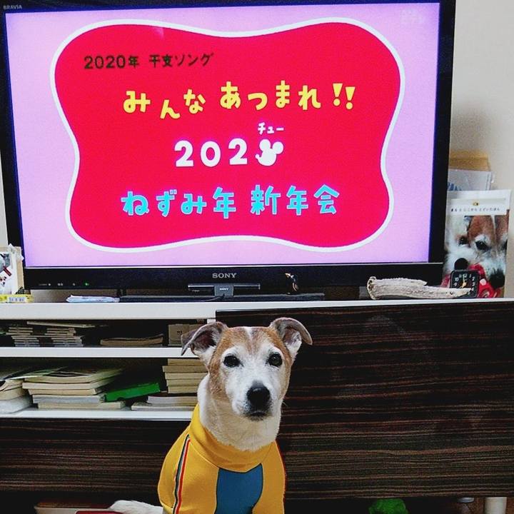 Abc7697f 7e6e 40dc 80db 39c1771bf773 1578521242003