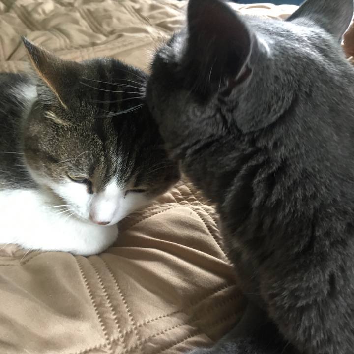 Abc76996 1e15 4b1f 8397 9addd2d00c88 1633654115809