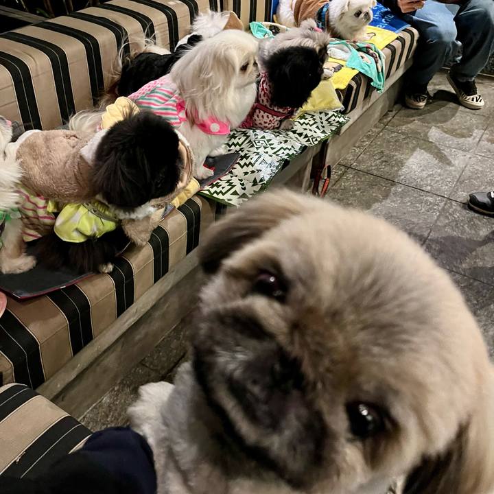 Abc77712 7b5c 4f5d 9323 255e94f0c9a2 1741518905487