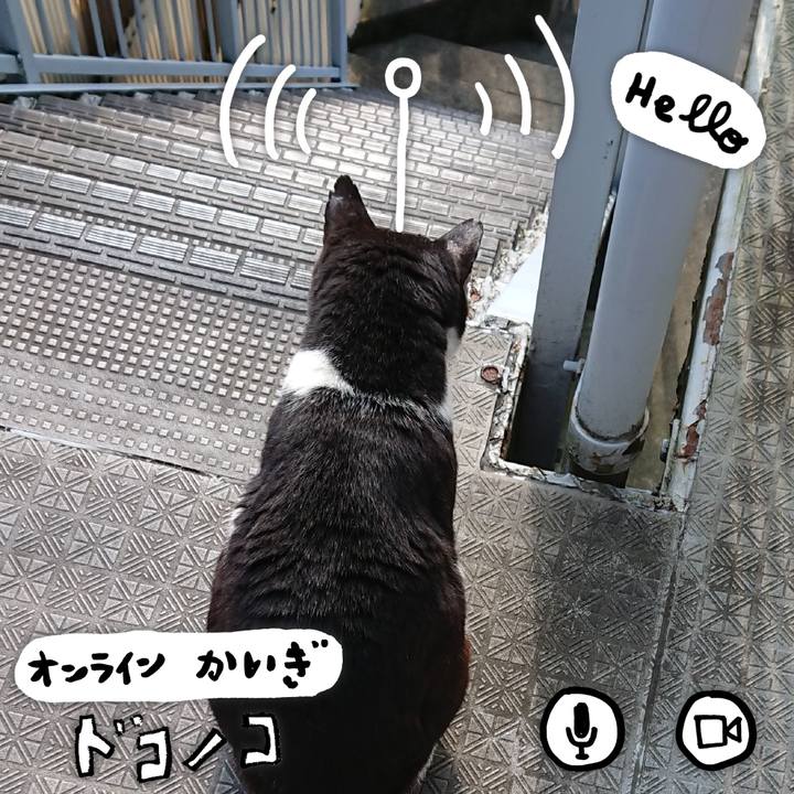 Abc7787d e906 4940 b0c8 95bd1ed1eaa2 1590795923640