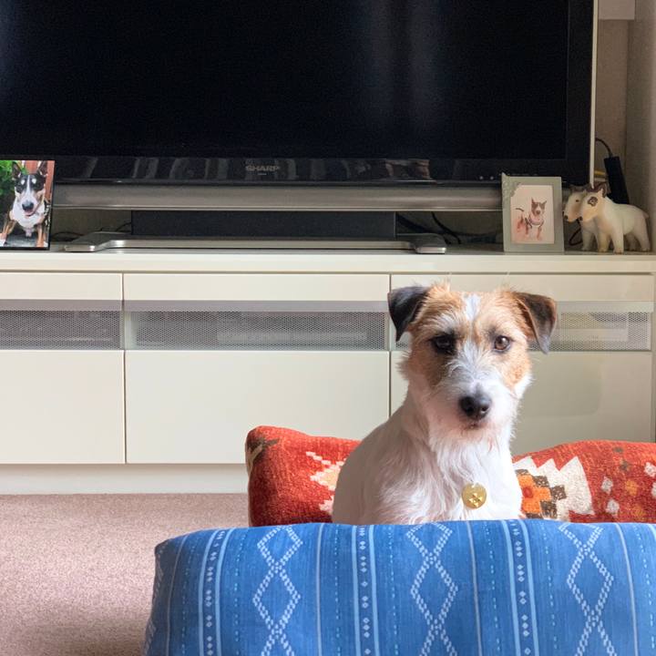 Abc77d5c 38c3 49c3 83e5 25ac872fda05 1589880008903