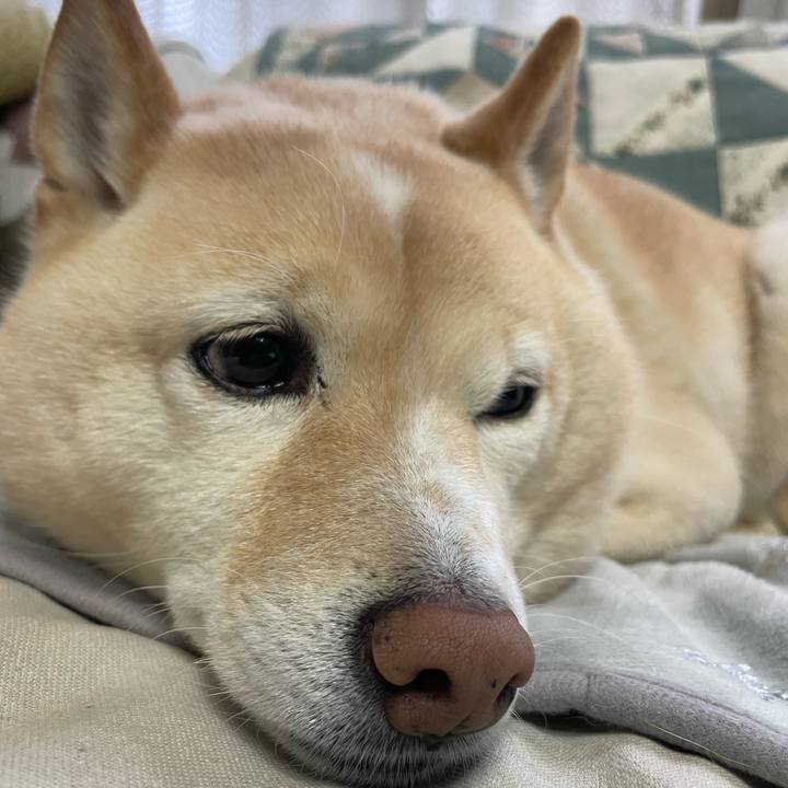 Abc7b6b8 d52b 471a 9a3e 32fe1eaa87b3 1738536905511