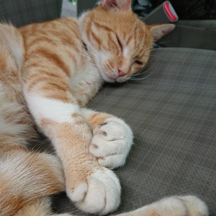 Abc7ba45 bc52 4992 b059 f42e0e60d90e 1564184342733